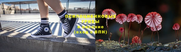 гидра Арсеньев