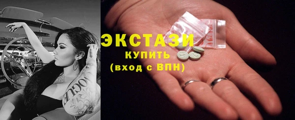 гидра Арсеньев