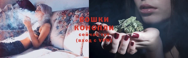 гидра Арсеньев