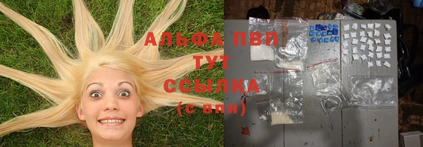 гидра Арсеньев