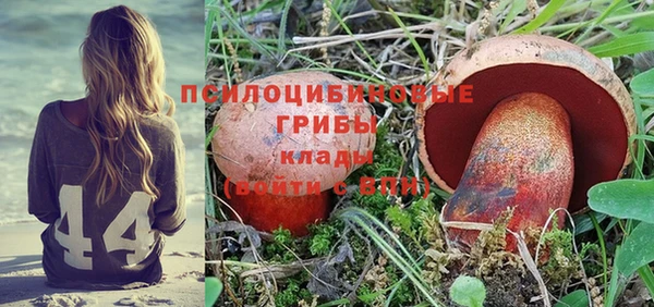 гидра Аркадак