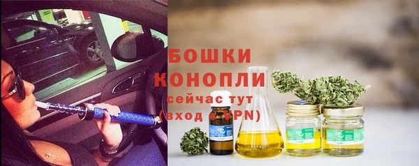 гидра Арсеньев