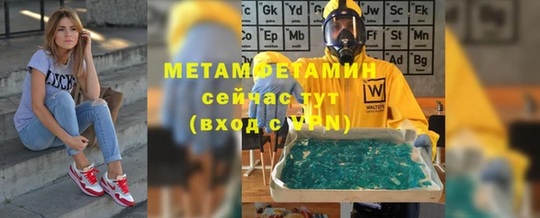 гидра Аркадак