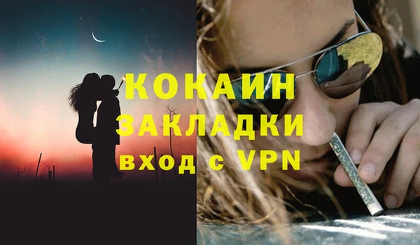 гидра Аркадак
